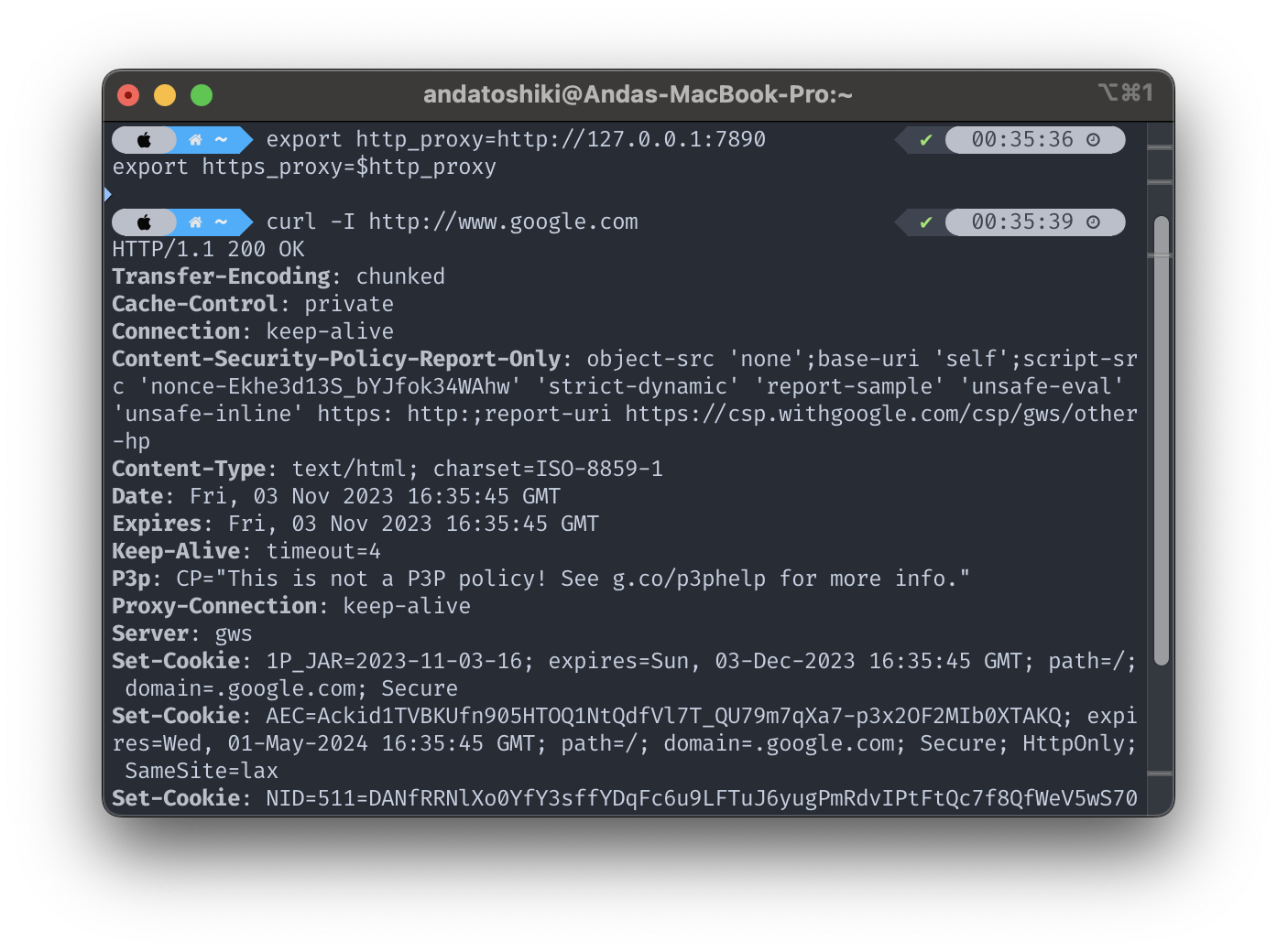 Curl in action with successful response header from Google